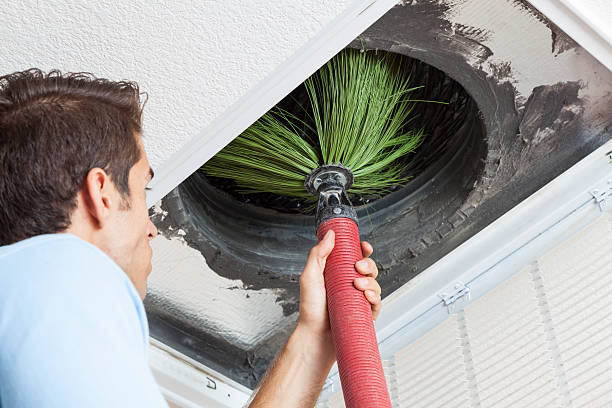 Best HVAC Air Duct Cleaning  in Wayland, IA